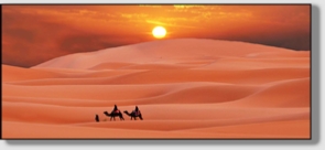 Best Merzouga Tours - Website design Gomarnad Maroc