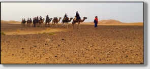 Best Merzouga Tours - Website design Gomarnad Maroc