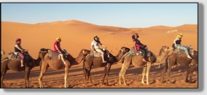 Best Merzouga Tours - Website design Gomarnad Maroc