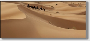 Best Merzouga Tours - Website design Gomarnad Maroc