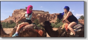 Best Merzouga Tours - Website design Gomarnad Maroc