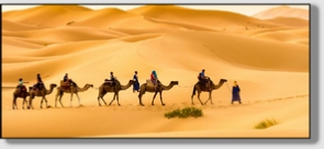 Best Merzouga Tours - Website design Gomarnad Maroc