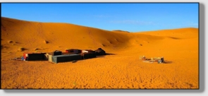 Best Merzouga Tours - Website design Gomarnad Maroc