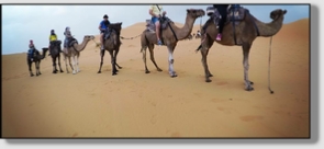 Best Merzouga Tours - Website design Gomarnad Maroc