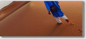 Best Merzouga Tours - Website design Gomarnad Maroc