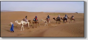 Best Merzouga Tours - Website design Gomarnad Maroc