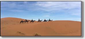 Best Merzouga Tours - Website design Gomarnad Maroc