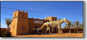 Best Merzouga Tours - Website design Gomarnad Maroc