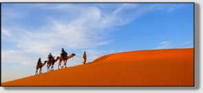 Best Merzouga Tours - Website design Gomarnad Maroc