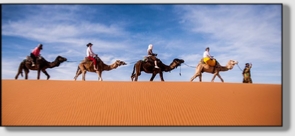 Best Merzouga Tours - Website design Gomarnad Maroc