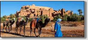 Best Merzouga Tours - Website design Gomarnad Maroc