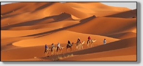 Best Merzouga Tours - Website design Gomarnad Maroc