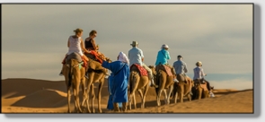 Best Merzouga Tours - Website design Gomarnad Maroc