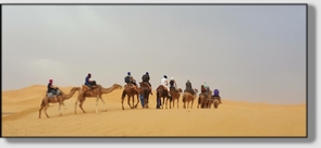 Best Merzouga Tours - Website design Gomarnad Maroc