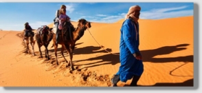 Best Merzouga Tours - Website design Gomarnad Maroc